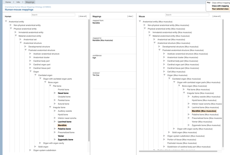 8. Human Mouse Mappings.png